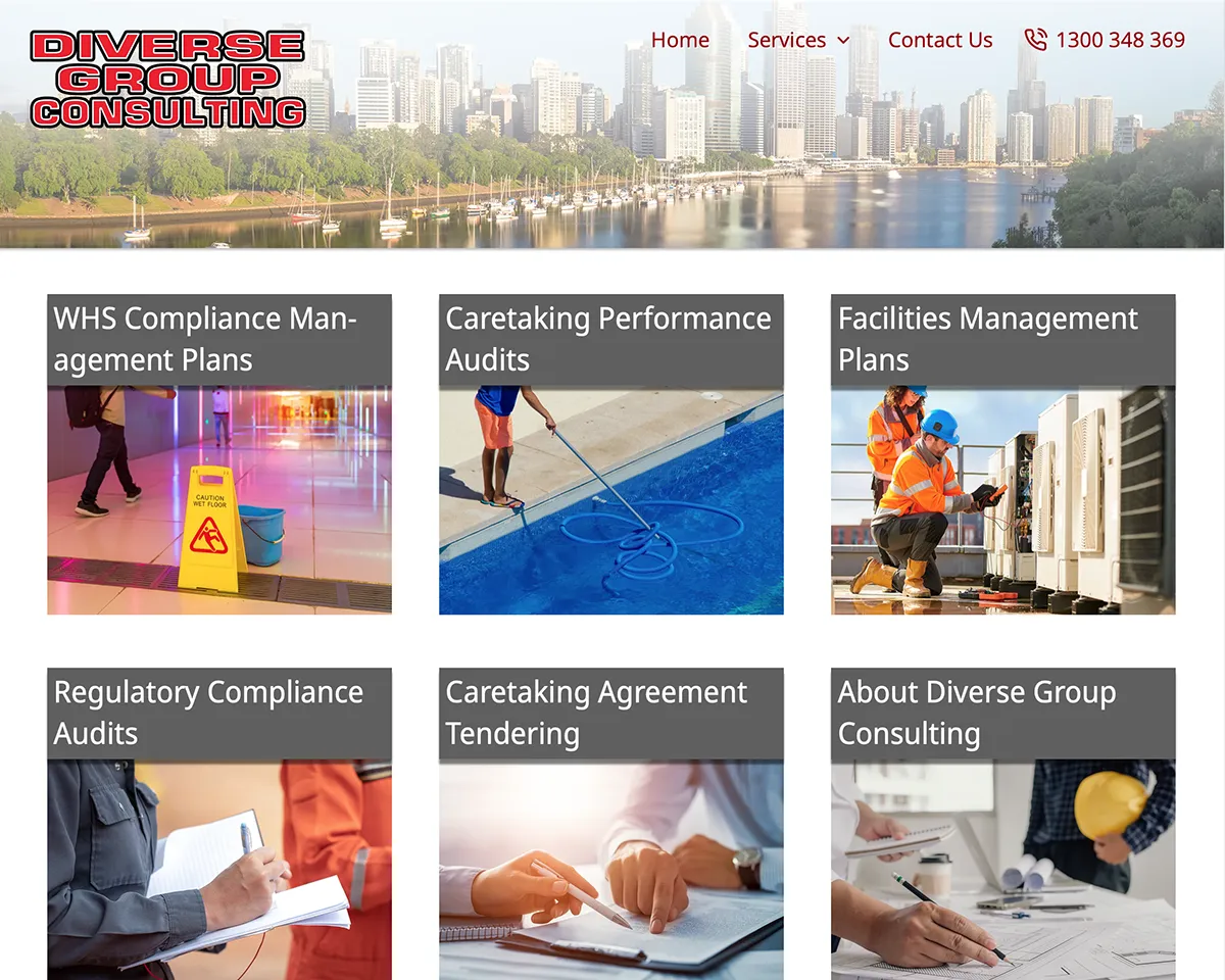 Diverse Group Consulting web site screen shot